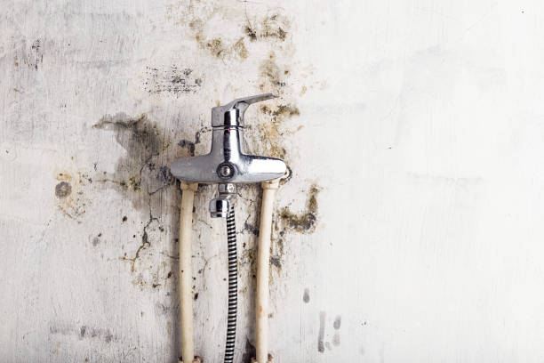 Best Office Mold Removal Services  in Deep River Center, CT