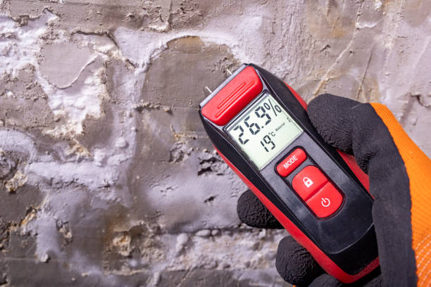 Best Emergency Mold Removal  in Deep River Center, CT