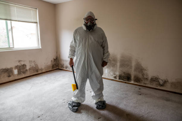 Best Crawl Space Mold Removal  in Deep River Center, CT