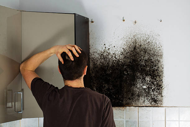 Best Mold Testing  in Deep River Center, CT